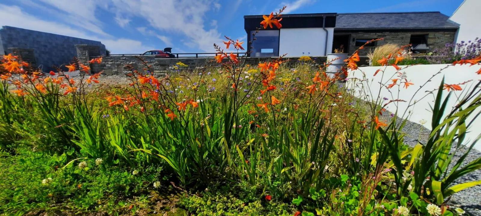 Rose Meadow Lodge 利斯坎诺 外观 照片